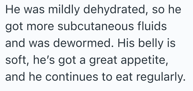 He was mildly dehydrated, so he got more subcutaneous fluids and was dewormed. His belly is soft, he's got a great appetite, and he continues to eat regularly.
