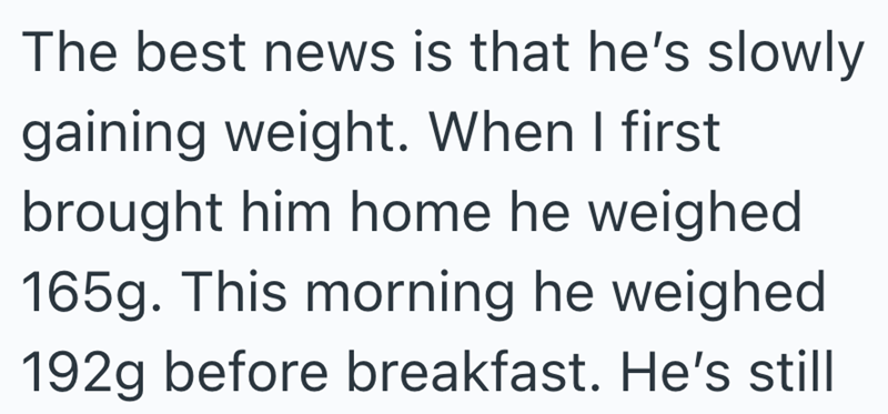 The best news is that he's slowly gaining weight. When I first brought him home he weighed 165g. This morning he weighed 192g before breakfast. He's still