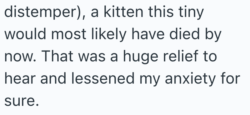 distemper), a kitten this tiny would most likely have died by now. That was a huge relief to hear and lessened my anxiety for sure.