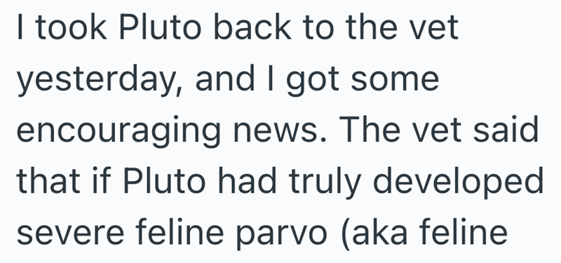 I took Pluto back to the vet yesterday, and I got some encouraging news. The vet said that if Pluto had truly developed severe feline parvo (aka feline
