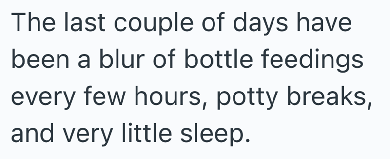 The last couple of days have been a blur of bottle feedings every few hours, potty breaks, and very little sleep.