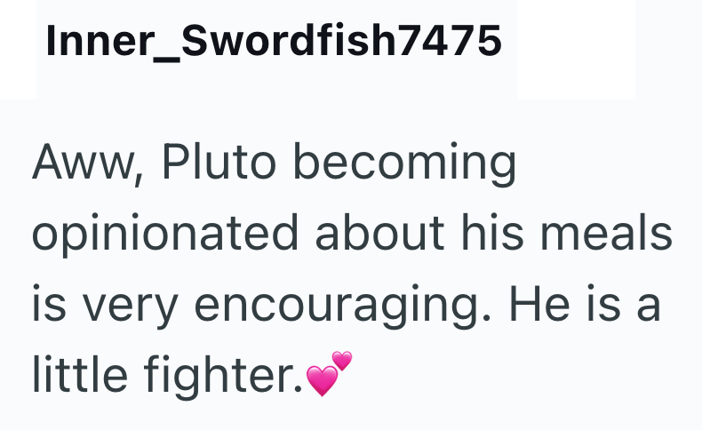 Inner_Swordfish7475 Aww, Pluto becoming opinionated about his meals is very encouraging. He is a little fighter.♥