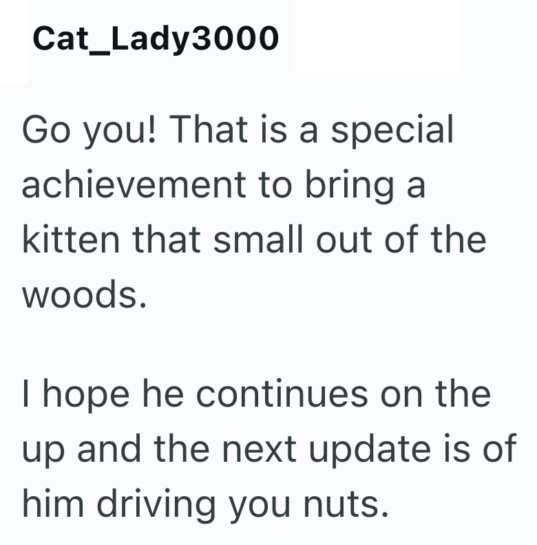 Cat Lady3000 Go you! That is a special achievement to bring a kitten that small out of the woods. I hope he continues on the up and the next update is of him driving you nuts.