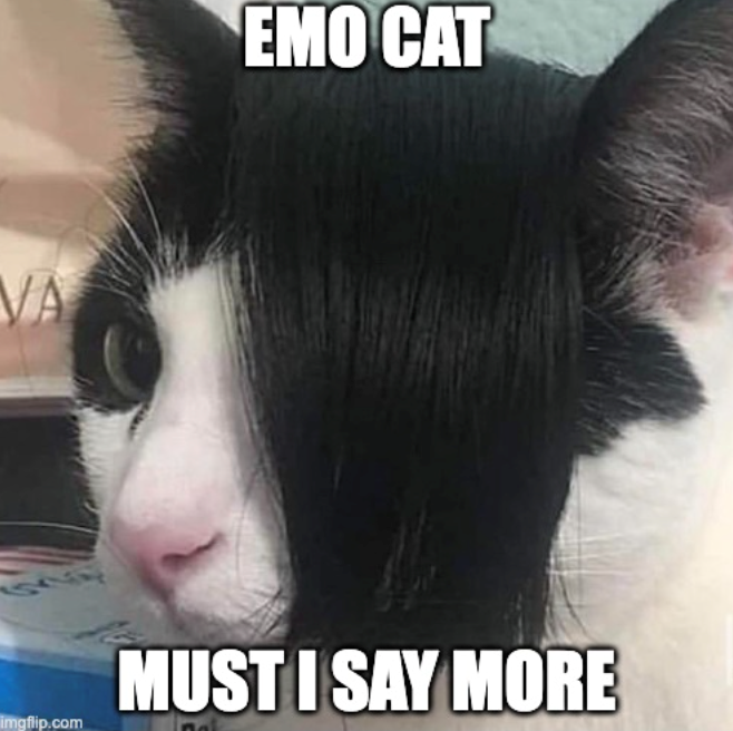 VA EMO CAT imgflip.com MUST I SAY MORE