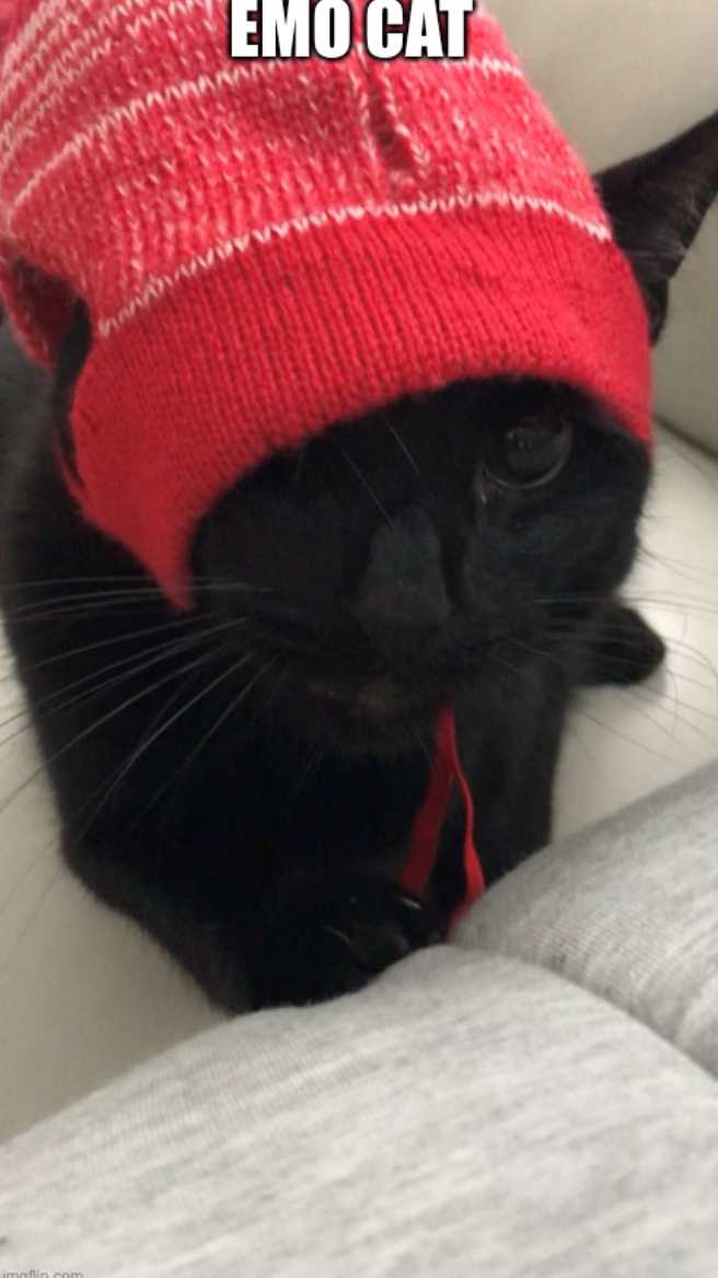 EMO CAT