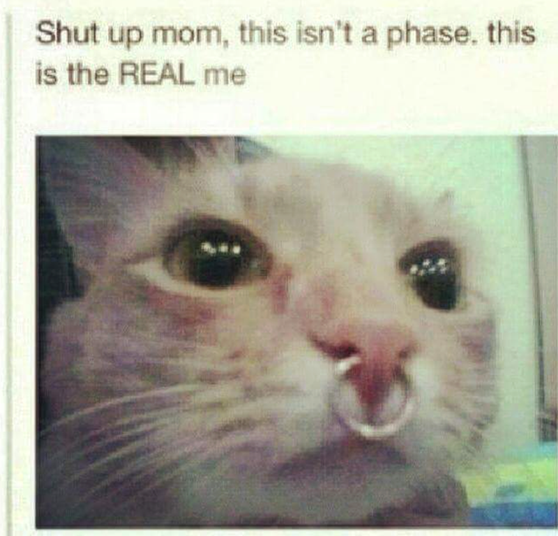 Shut up mom, this isn't a phase. this is the REAL me