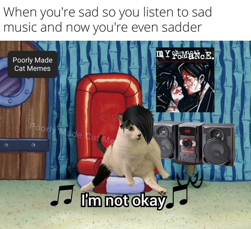 When you're sad so you listen to sad music and now you're even sadder Poorly Made Cat Memes MYOMANCE. THREE CHEERS FOR SWEET REVE Poorly Made Cat Memes 200 I'm not okay