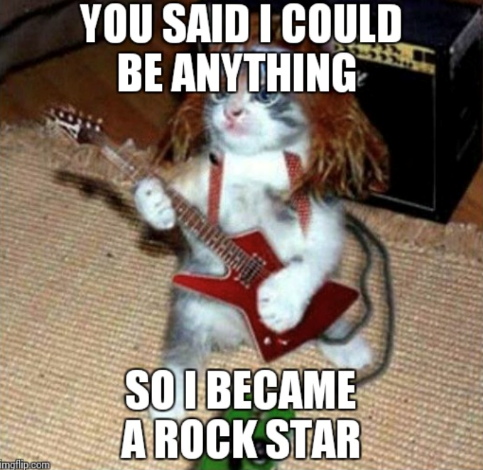 imgflip.com YOU SAID I COULD BE ANYTHING SO I BECAME A ROCK STAR