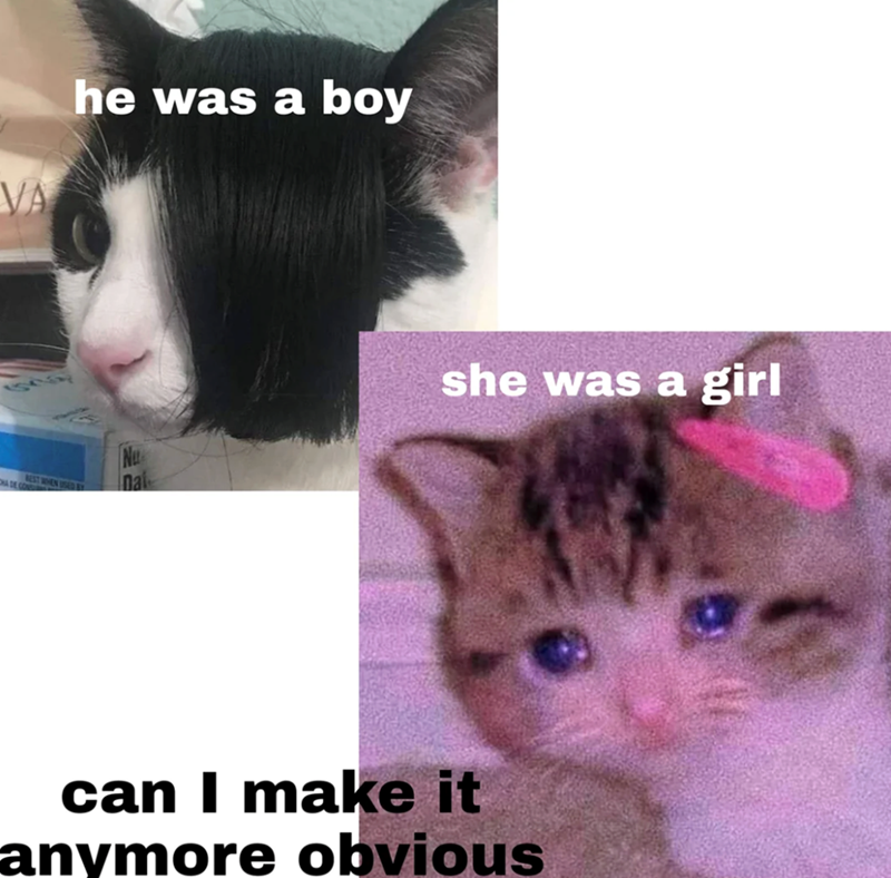 VA he was a boy N nat she was a girl can I make it anymore obvious