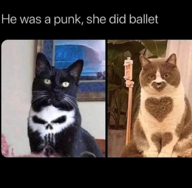 He was a punk, she did ballet