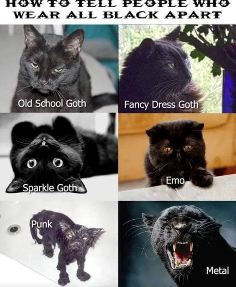 HOW TO TELL PEOPL WHO WEAR ALL BLACK APART Old School Goth Fancy Dress Goth Emo Sparkle Goth Punk Metal