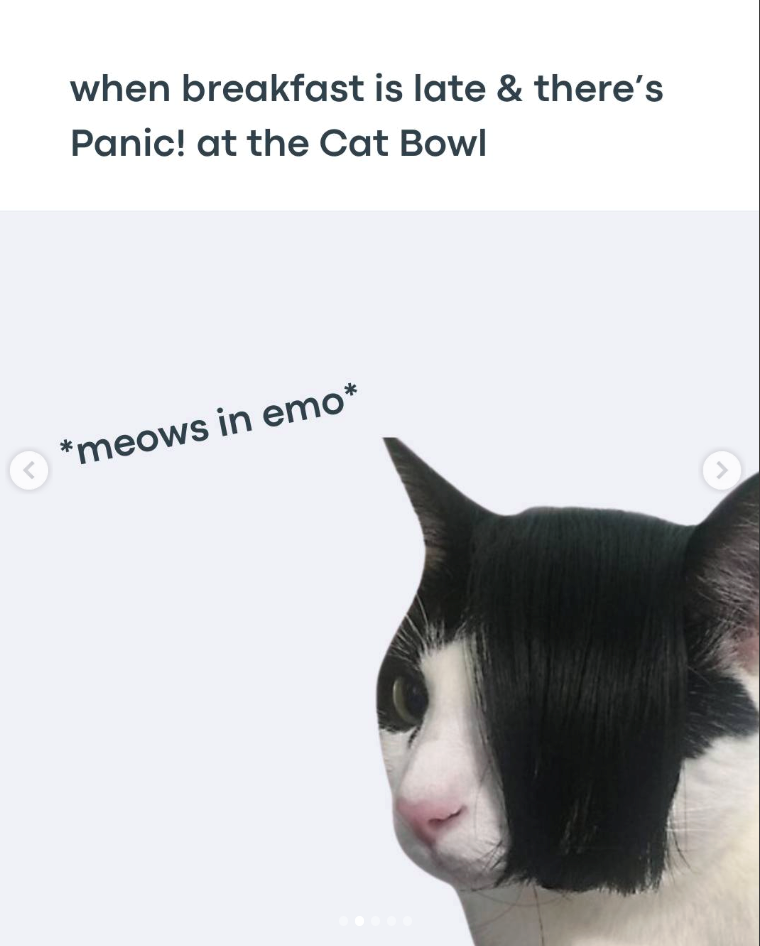 when breakfast is late & there's Panic! at the Cat Bowl < *meows in emo* >