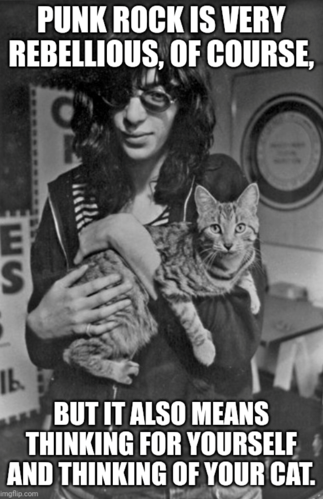 PUNK ROCK IS VERY REBELLIOUS, OF COURSE, ES ль. BUT IT ALSO MEANS THINKING FOR YOURSELF AND THINKING OF YOUR CAT. imgflip.com