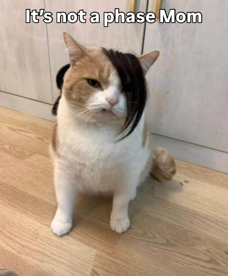 It's not a phase Mom