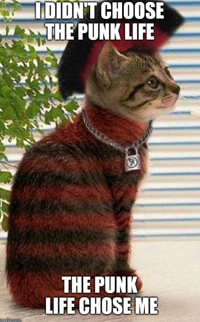 I DIDN'T CHOOSE THE PUNK LIFE imaflip.com THE PUNK LIFE CHOSE ME