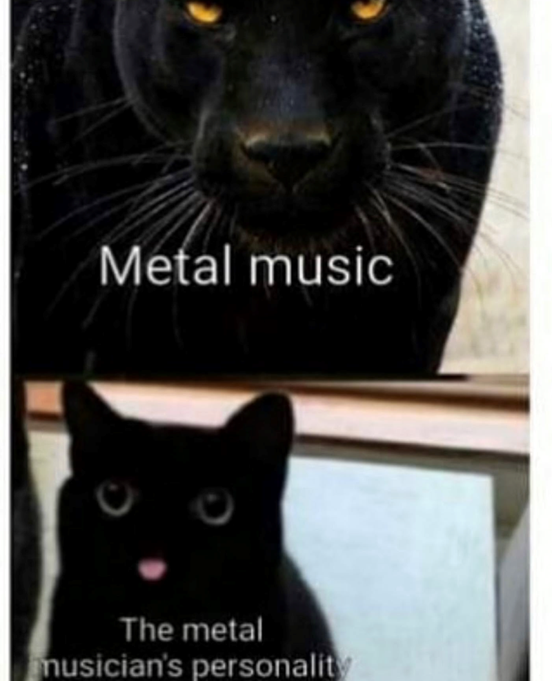 Metal music The metal musician's personality