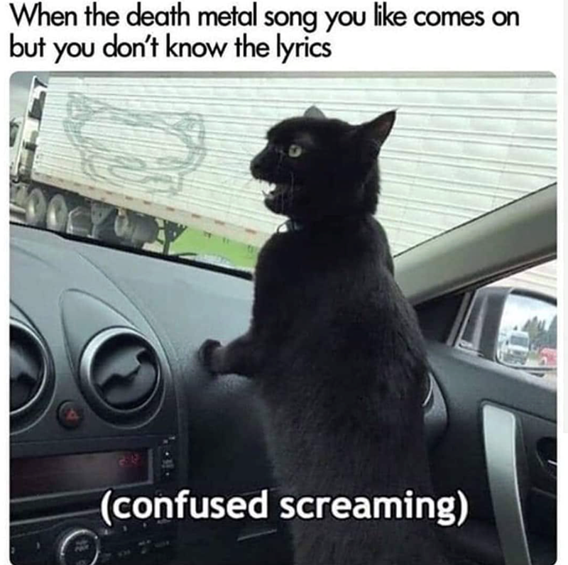 When the death metal song you like comes on but you don't know the lyrics (confused screaming)