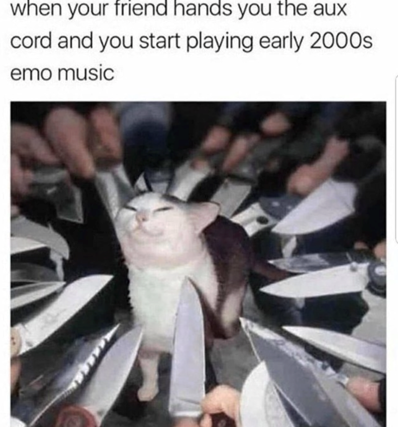 when your friend hands you the aux cord and you start playing early 2000s emo music
