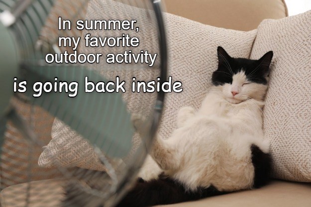 Cheezburger Image 10652457472