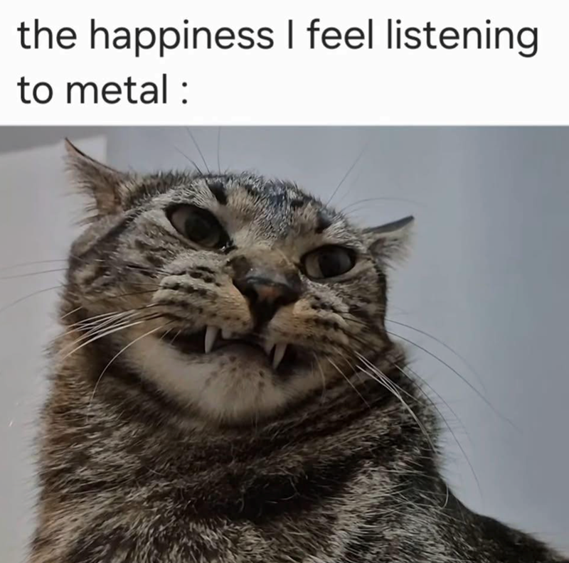 the happiness I feel listening to metal :