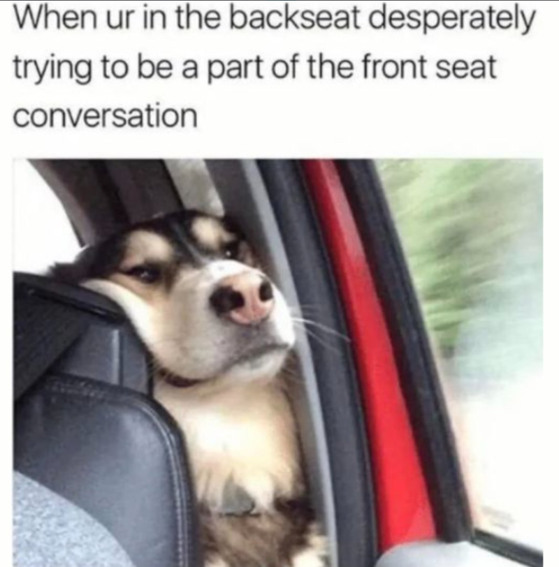 When ur in the backseat desperately trying to be a part of the front seat conversation