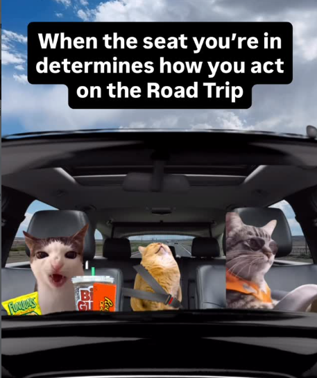 When the seat you're in determines how you act on the Road Trip FORQUES Re