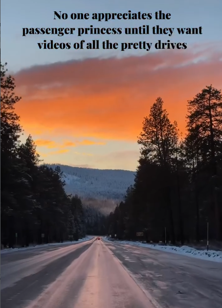 No one appreciates the passenger princess until they want videos of all the pretty drives