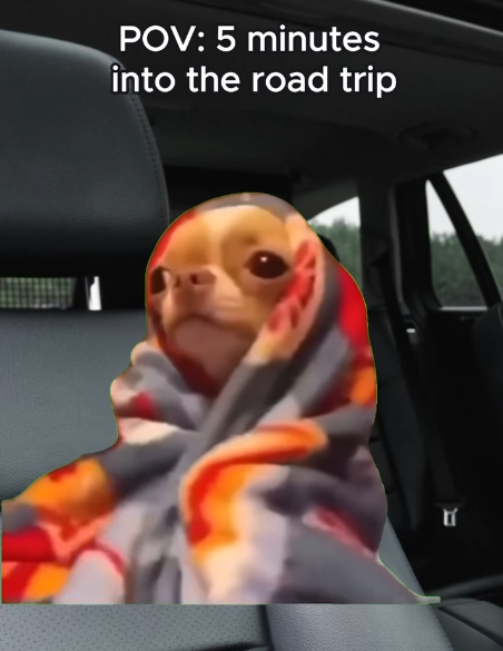 POV: 5 minutes into the road trip