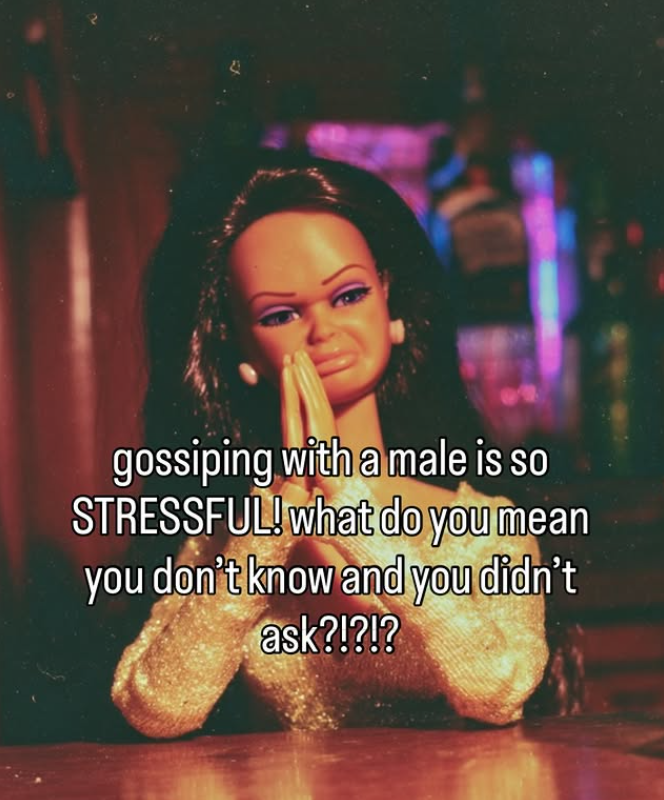 gossiping with a male is so STRESSFUL! what do you mean you don't know and you didn't ask?!?!?