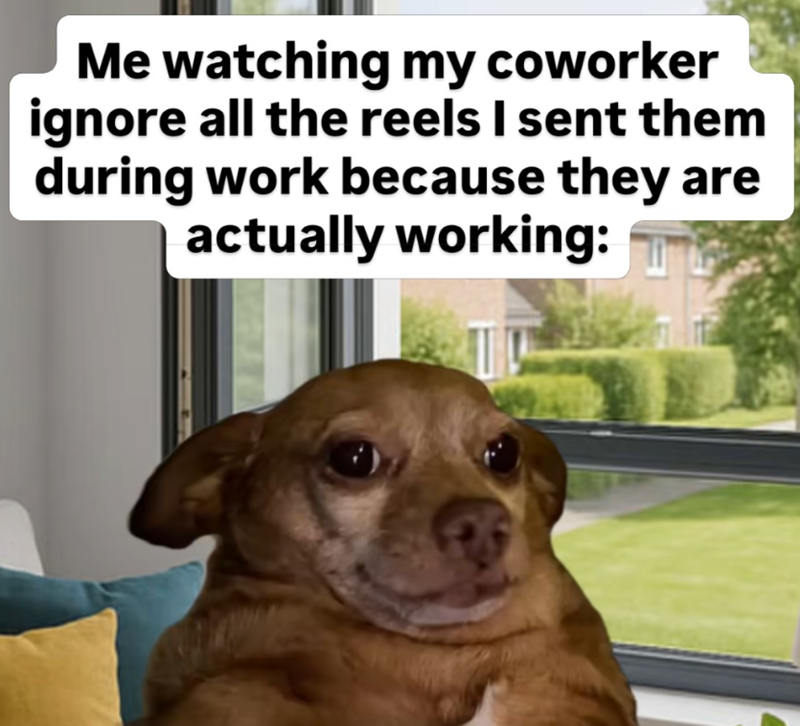Me watching my coworker ignore all the reels I sent them during work because they are actually working: