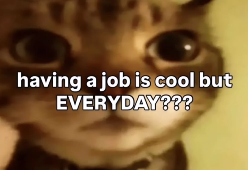 having a job is cool but EVERYDAY???