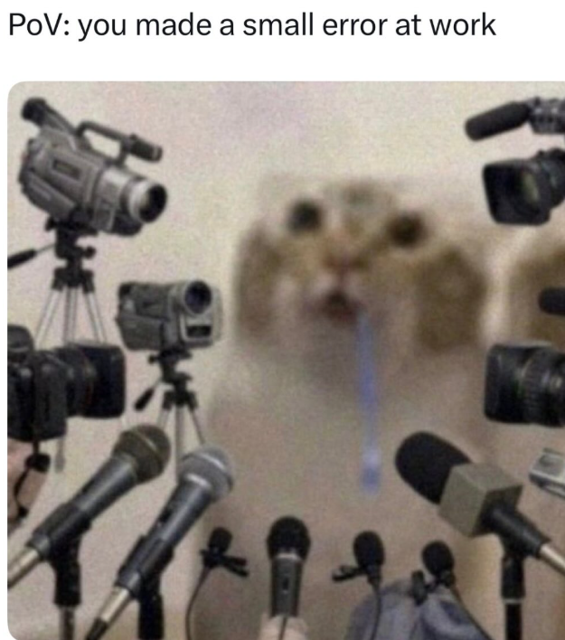 POV: you made a small error at work