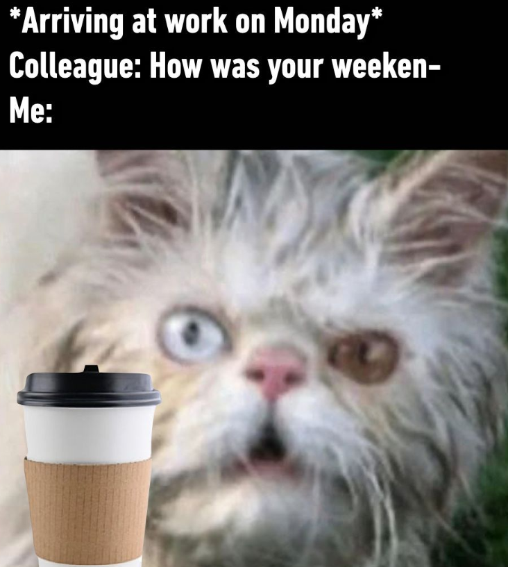 *Arriving at work on Monday* Colleague: How was your weeken- Me: