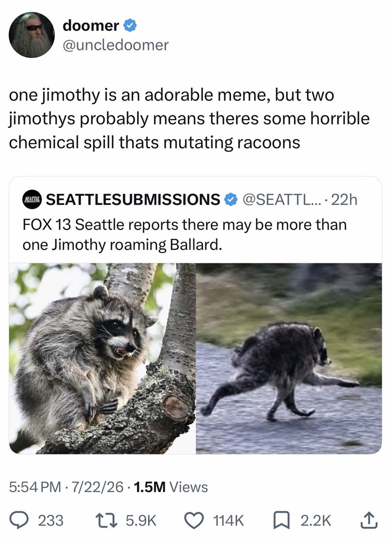 doomer @uncledoomer one jimothy is an adorable meme, but two jimothys probably means theres some horrible chemical spill thats mutating racoons SEATLE SEATTLESUBMISSIONS @SEATTL.... 22h FOX 13 Seattle reports there may be more than one Jimothy roaming Ballard. 5:54 PM 7/22/26 1.5M Views 233 17 5.9K 114K ☐ 2.2K ↑