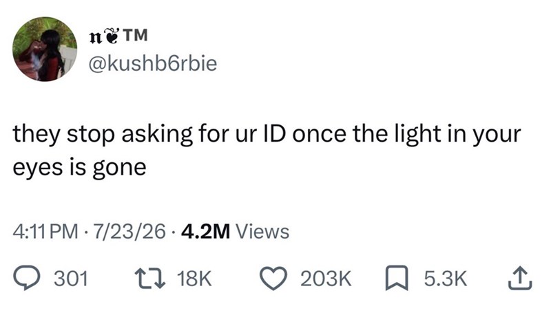 nTM @kushbбrbie they stop asking for ur ID once the light in your eyes is gone 4:11 PM 7/23/26 4.2M Views 301 17 18K 203K 5.3K ↑