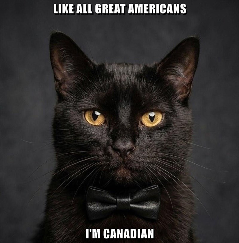 Cheezburger Image 10652513792