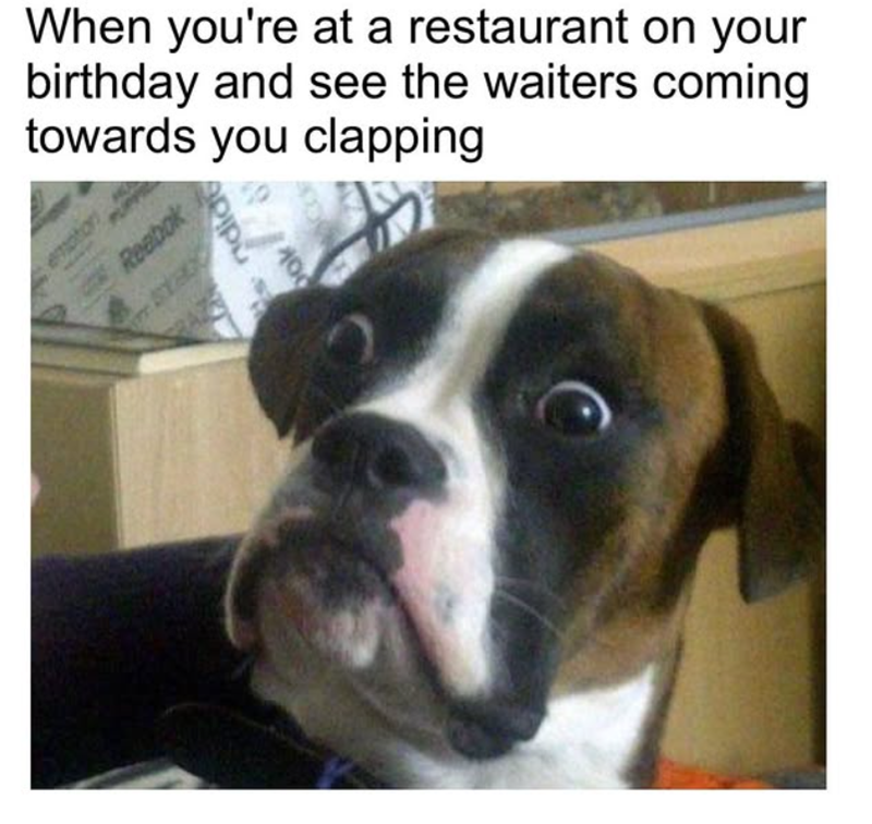 When you're at a restaurant on your birthday and see the waiters coming towards you clapping Reebok 100