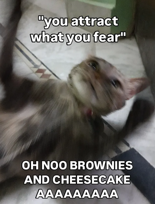 "you attract what you fear" OH NOO BROWNIES AND CHEESECAKE AAAAAAAAA