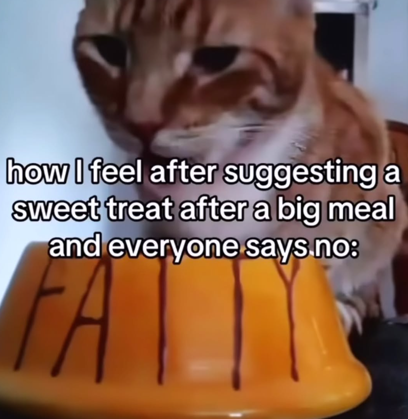 how I feel after suggesting a sweet treat after a big meal and everyone says no: