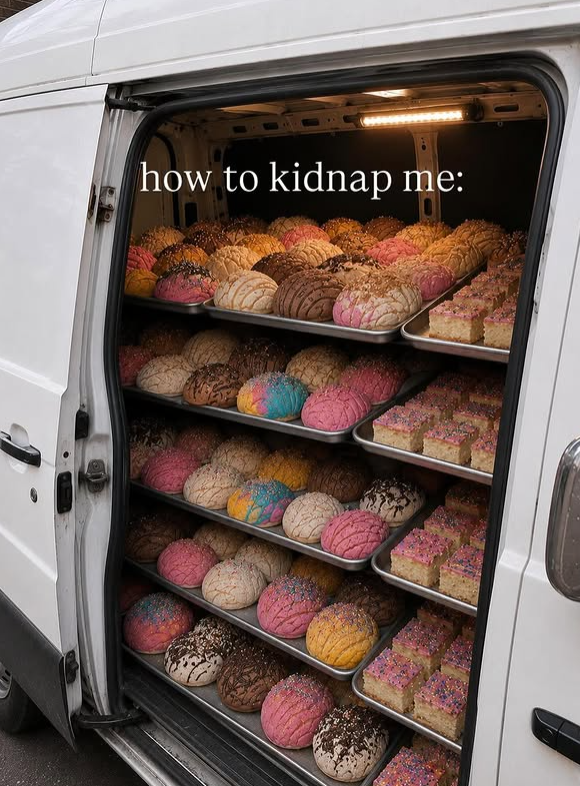 how to kidnap me: