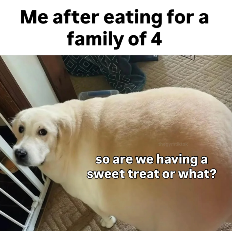 Me after eating for a family of 4 thegymtiktok so are we having a sweet treat or what?