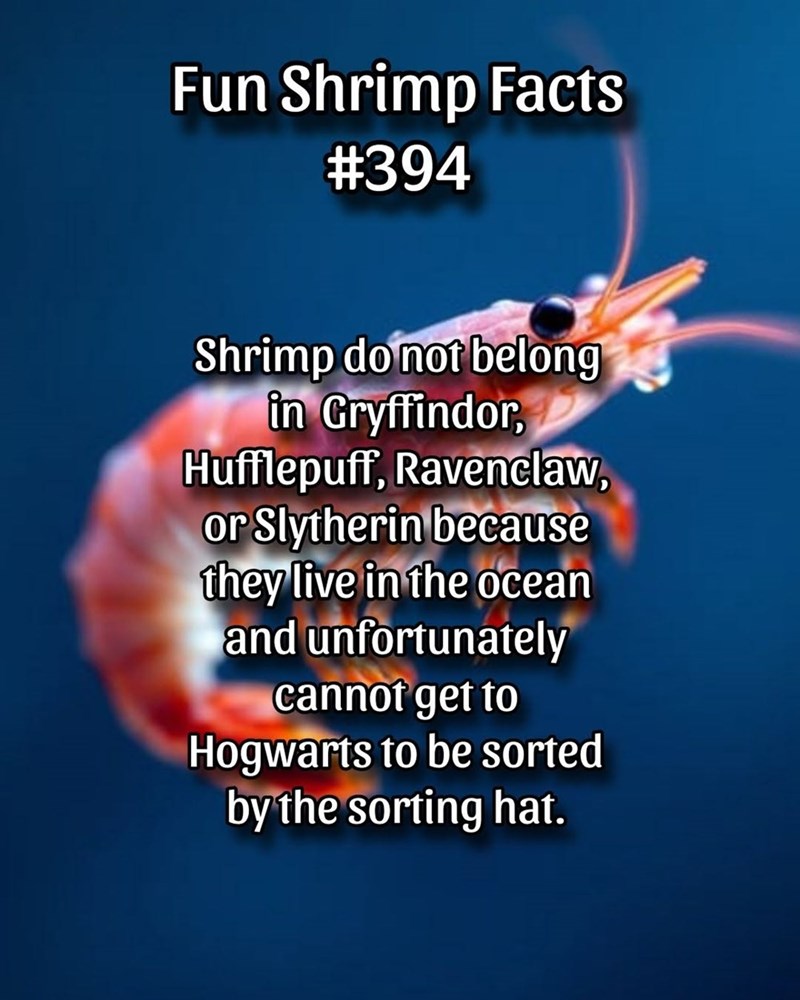 Fun Shrimp Facts #394 Shrimp do not belong in Gryffindor, Hufflepuff, Ravenclaw, or Slytherin because they live in the ocean and unfortunately cannot get to Hogwarts to be sorted by the sorting hat.