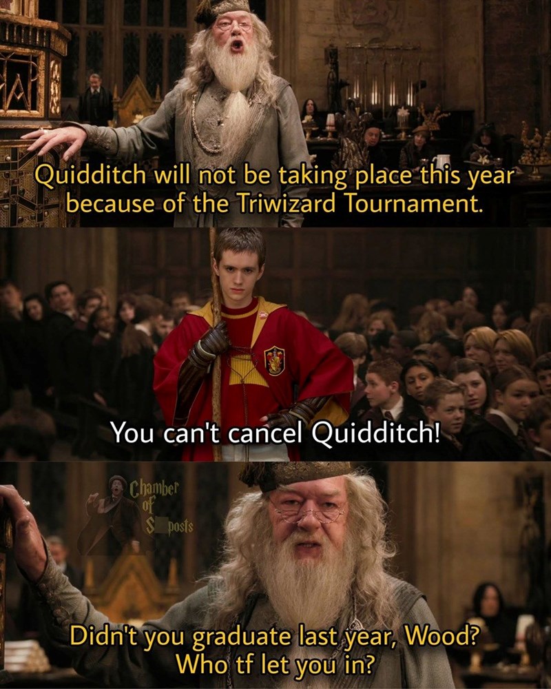 Quidditch will not be taking place this year because of the Triwizard Tournament. You can't cancel Quidditch! Chamber of S posts Didn't you graduate last year, Wood? Who tf let you in?