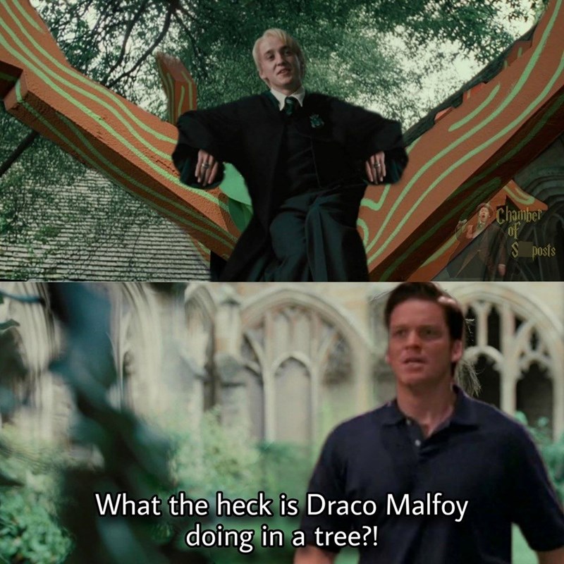 What the heck is Draco Malfoy doing in a tree?! Chamber of $ posts