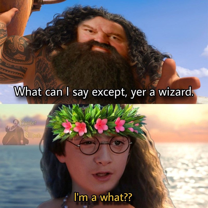 What can I say except, yer a wizard. Chamber of Sposts I'm a what??