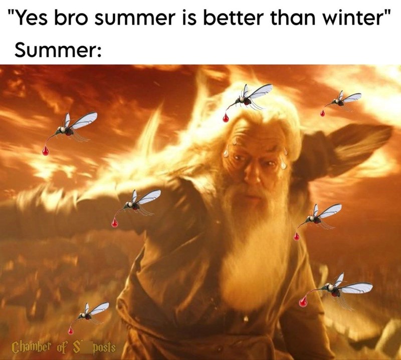 "Yes bro summer is better than winter" Summer: Chamber of S posts