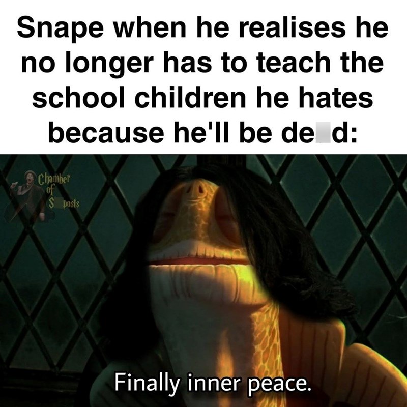 Snape when he realises he no longer has to teach the school children he hates because he'll be de d: Chamber of $ posts Finally inner peace.