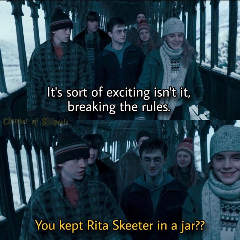 E It's sort of exciting isn't it, breaking the rules. Chamber of S posts You kept Rita Skeeter in a jar??