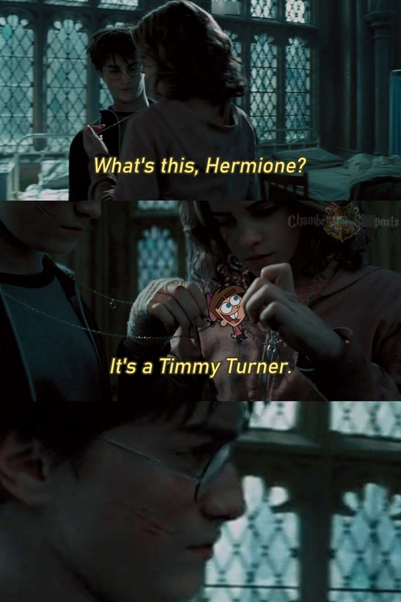 What's this, Hermione? It's a Timmy Turner. Chamber posts