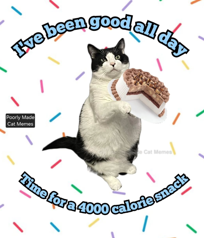 Ive been good all day Poorly Made Cat Memes de Cat Memes Time for a 4000 calorie snack